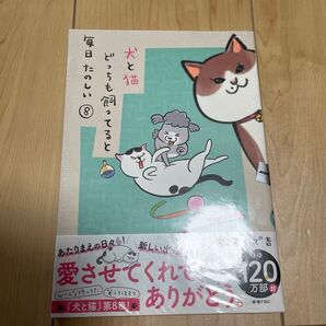 折り紙 メモセット カミオジャパン とおまけ 犬と猫どっちも飼ってると毎日たのしい 8