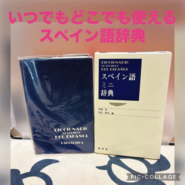 スペイン語ミニ辞典 宮城 昇/宮本 博司