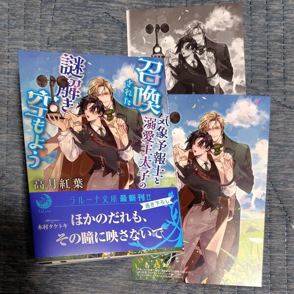 召喚された気象予報士と溺愛王太子の謎解き空もよう (ラルーナ文庫) 高月紅葉/著