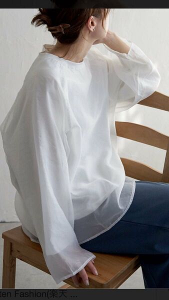 ノッチ、オーガンジー、Tシャツブラウス、長袖、オフホワイト、フリーサイズ