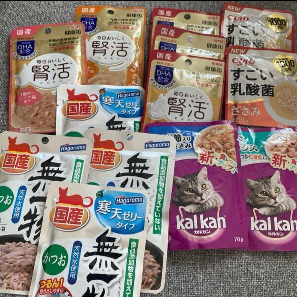 キャットフード ウェット いなば 腎活 カルカン 無一物 国産 セット 成猫 ウェットフード
