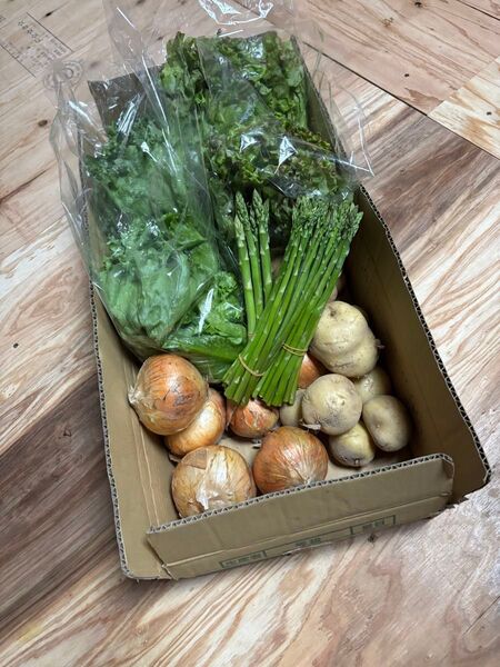 新鮮な野菜詰め合わせ アスパラガス、レタス、新玉ねぎ、ジャガイモの野菜セット 4.5kg〜5kg