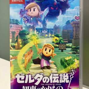 ゼルダの伝説 知恵のかりもの Switch