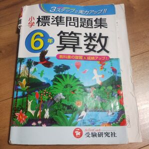 最低価格【縁起物】小学標準問題集 算数 6年 中学受験 発展問題