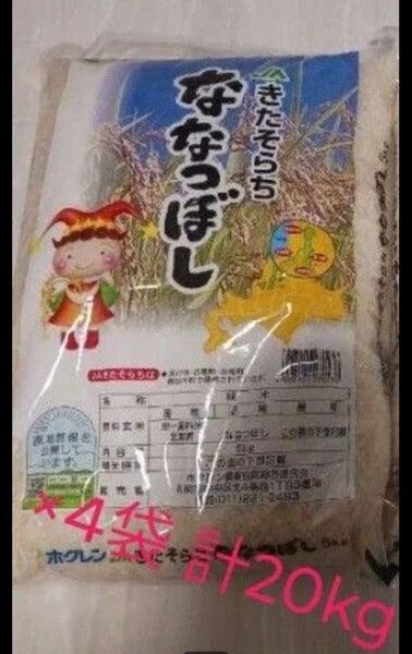 お米 ななつぼし 5kg×4袋(20kg) ホクレン