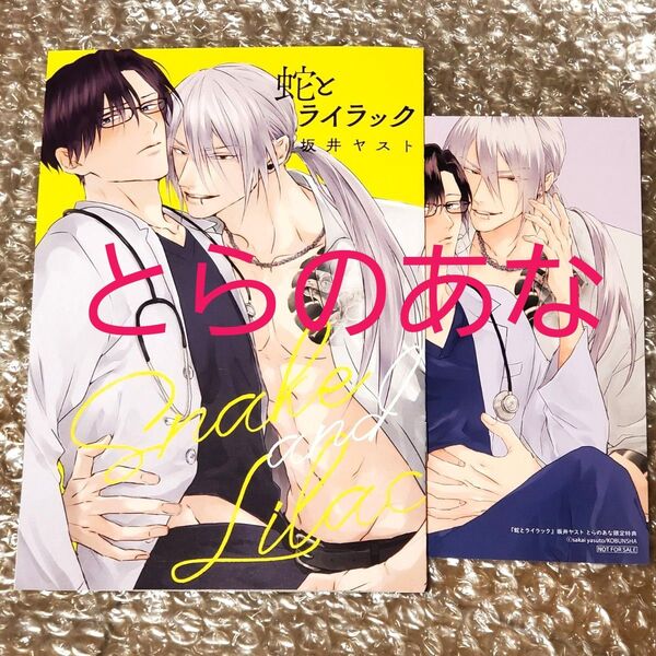 蛇とライラック とらのあな特典 小冊子 イラストカード 坂井ヤスト 特典のみ クーポン◯