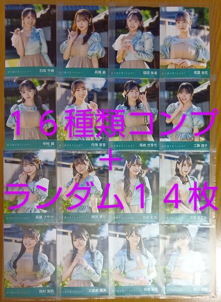 STU48 11th 地平線を見ているか? 劇場盤 生写真 30枚(16種類 コンプ+ランダム14枚)中村舞 高雄さやか 石田千穂