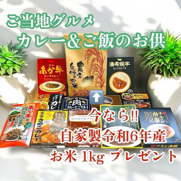 ご当地グルメ カレー & ご飯のお供 セット 自家製 令和6年産 お米 ヒノヒカリ 1kg プレゼント