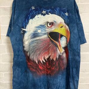 THE MOUNTAIN 鷲 Tシャツ アメリカ 星条旗 古着 Lサイズ