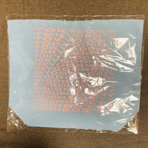 非売品 東京ドームシティ エコバッグ 布 大きい TOKYO DOME CITY トートバッグ ノベルティ