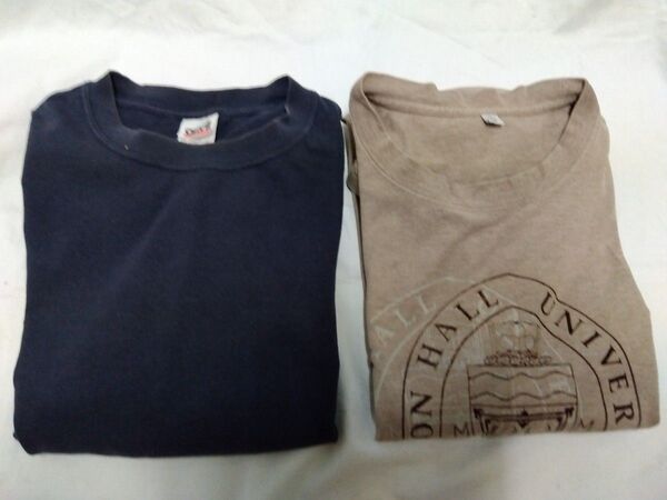 USED品【anvil アンビル/ユニクロ】メンズ長袖Tシャツ2点<Lサイズ>難あり 送料手数料除き2点約300円