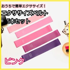 トレーニングチューブ 筋トレ 5本セット ゴムバンド エクササイズバンド エクササイズ バンド トレーニング チューブ ストレッチ