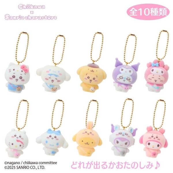 ちいかわ × サンリオキャラクターズ シークレット フロッキー マスコット 全10種 フルコンプBOX 新品 未開封