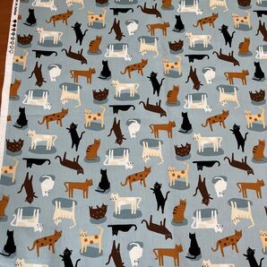 猫柄生地 水色 生地幅×55cm