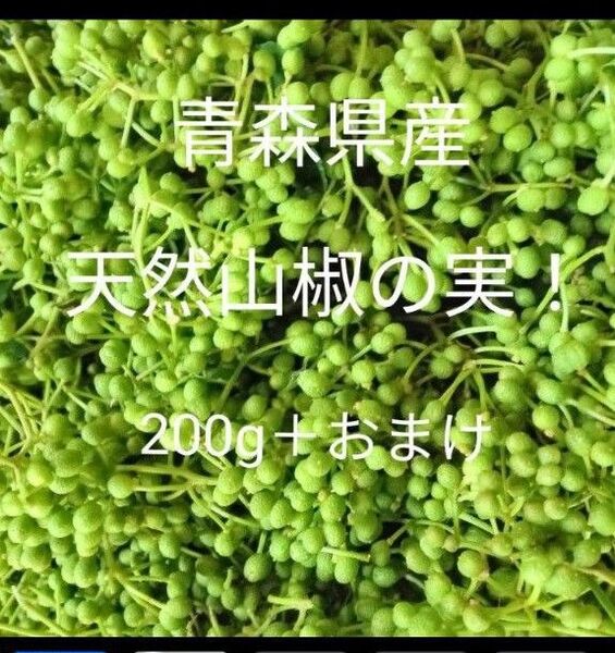 青森県産天然自生山椒の実200g+20g!
