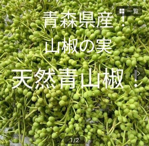 青森県産天然山椒の実 青山椒500g+50g!