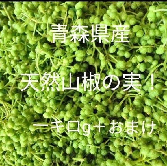 青森県産天然自生山椒の実一キロg+おまけ!
