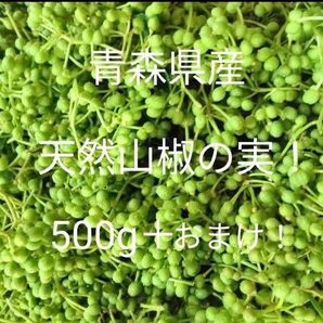 青森県産天然山椒の実500g+50g!