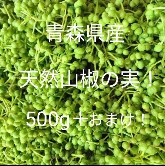 青森県産天然自生山椒の実500g+50g!