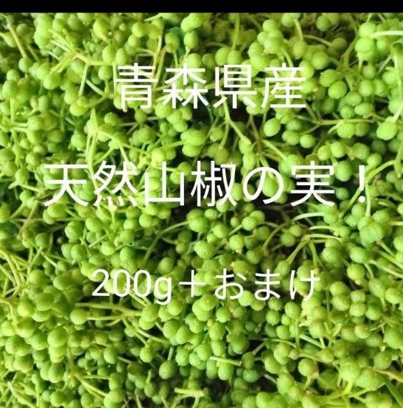 青森県産天然山椒の実粒山椒200g+20g!