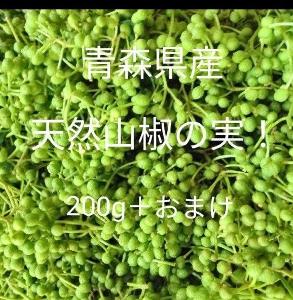 青森県産天然山椒の実200g+20g!