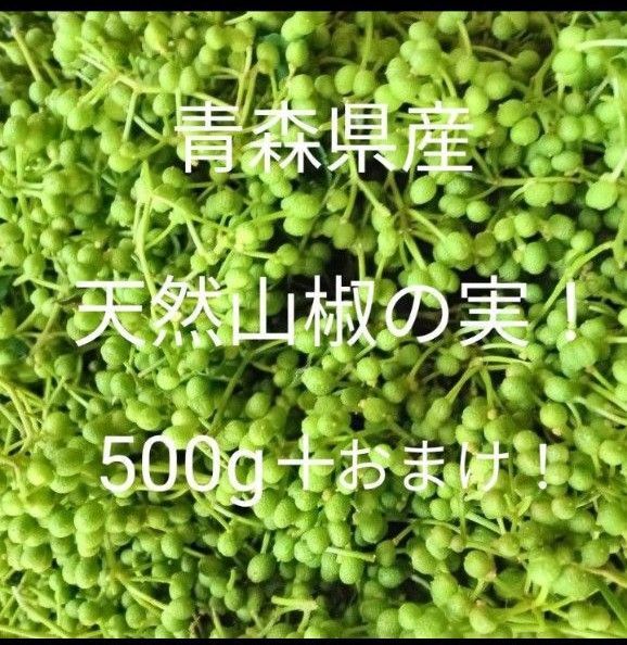 青森県産天然山椒の実500g+50g!