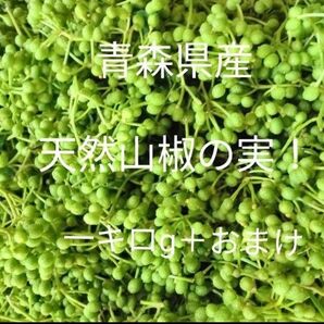 青森県産天然山椒の実一キロg+100g!