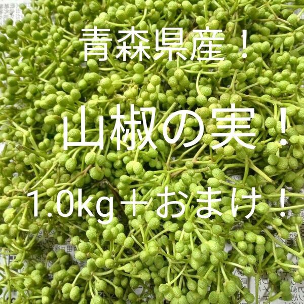 青森県天然山椒の実 青山椒1.0kg+100g!