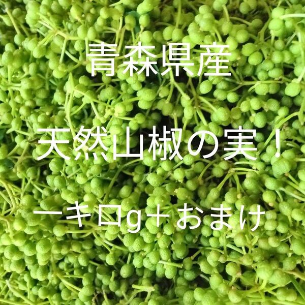青森県産天然山椒の実一キロg+100g!