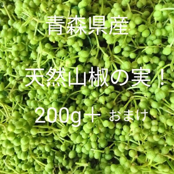 青森県産天然山椒の実200g+20g!