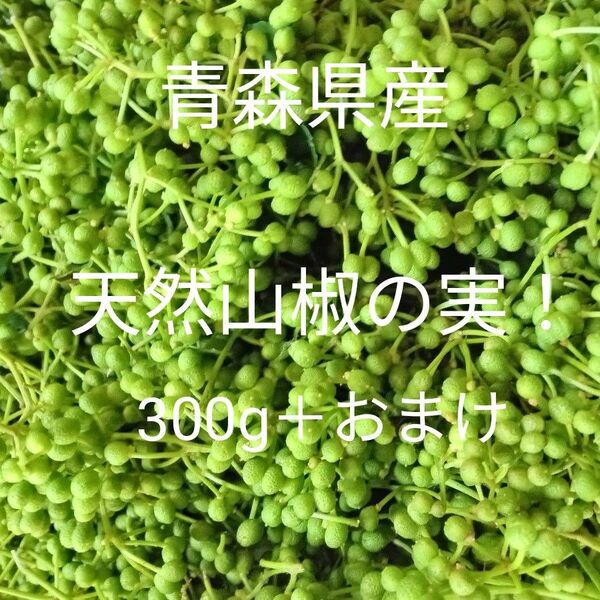 青森県産天然自生山椒の実300g+30g!