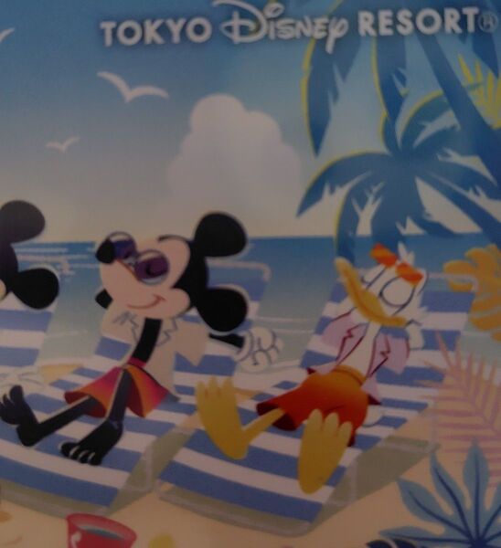 ディズニー チケット