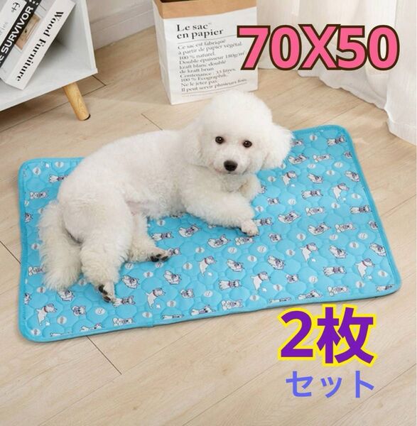 ペットマット ペットシーツ L 2枚セット ブルー 大型犬 猫 犬柄 洗濯可