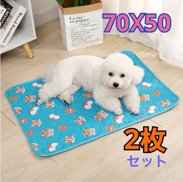 ペットマット ペットシーツ L 2枚セット ブルー 大型犬 猫 犬柄 洗濯可