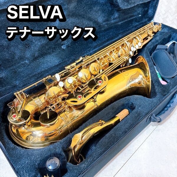 良好 SELVA テナーサックス 管楽器 初心者用 ケース付属