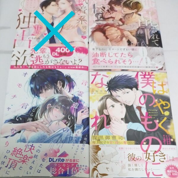 はやく僕のものになれ 腹黒御曹司は年上女子を甘く淫らに奪いたい (オパールCOMICS kiss)