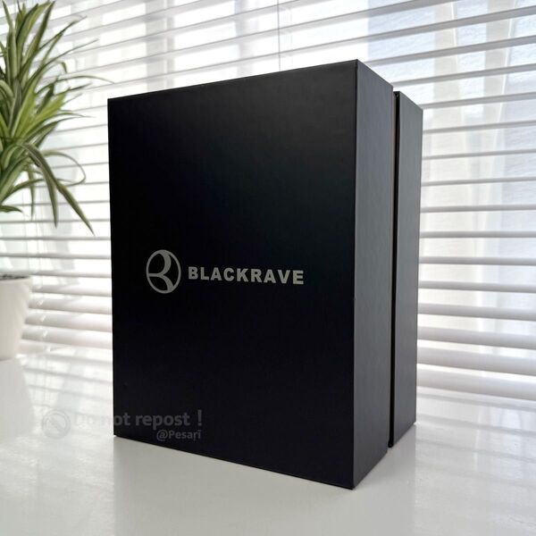 BLACKRAVE 家庭用 脱毛器 VIO対応 ブラックレイブ 全身脱毛 BR4011 (ブラック)