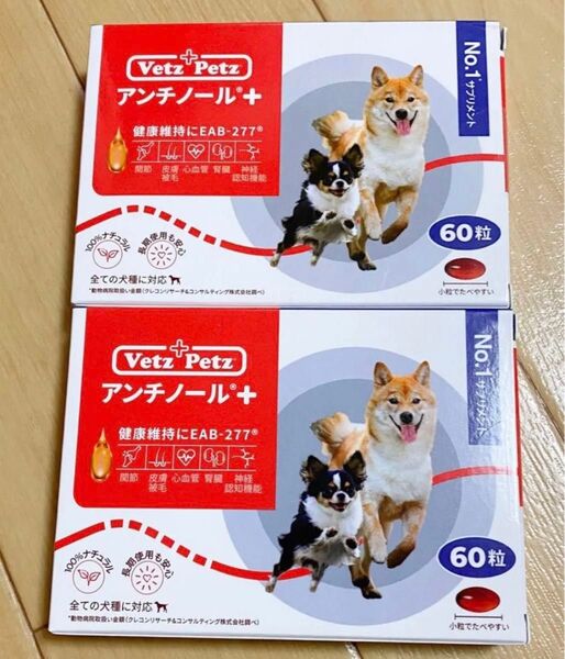 新品未開封 アンチノールプラス Vetz Petz 犬用 サプリメント アンチノール