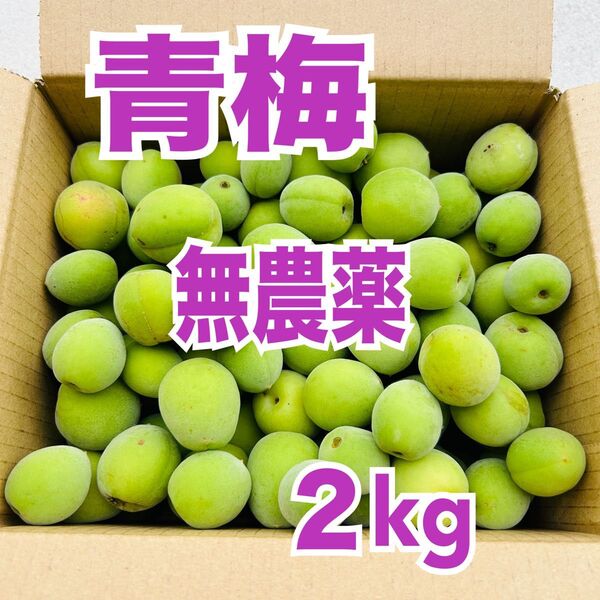 無農薬 青梅 うめ ウメ 箱込み 約2kg ★限定1箱★