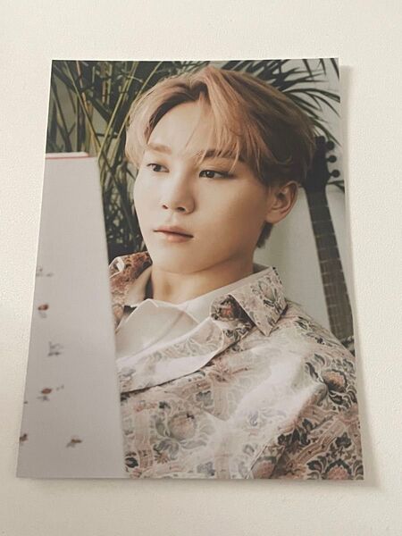 SEVENTEEN SUNGKWAN スングァン your choice ブロマイド
