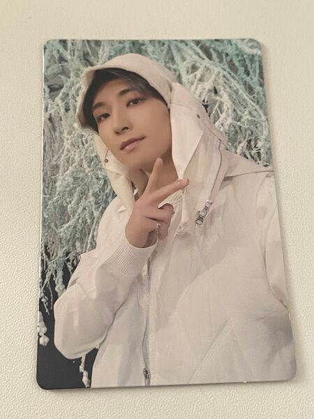 SEVENTEEN WONWOO ウォヌ SECTOR17 トレカ