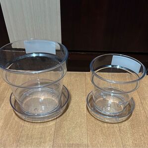 値下不可 新品 StandardProducts 5号4号セット クリア鉢 観葉植物 スタンダード