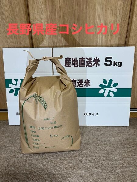 令和6年産 長野県産コシヒカリ 白米5キロ
