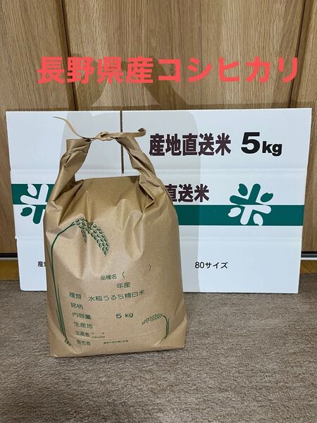 令和6年産 長野県産コシヒカリ 白米5キロ