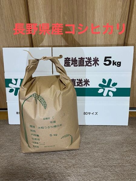 令和6年産 長野県産コシヒカリ 5キロ