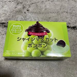 シャインマスカットボンボンチョコレート8個入り。おまけボンボン付きです。