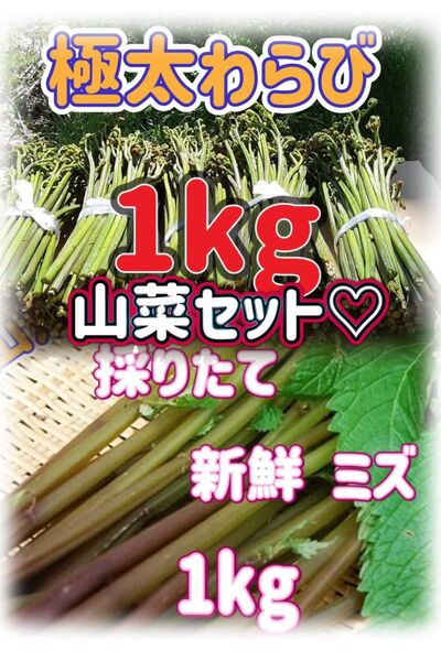 山菜セットわらび1kg +ミズ1kg 山形県産