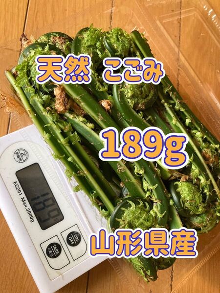 新鮮 こごみ 189g 山形県産