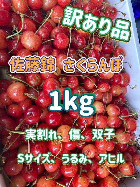 さくらんぼ 佐藤錦 1kg 訳あり品 山形県産