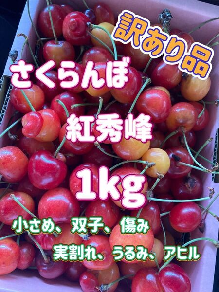 さくらんぼ 紅秀峰 1kg 訳あり品 山形県産